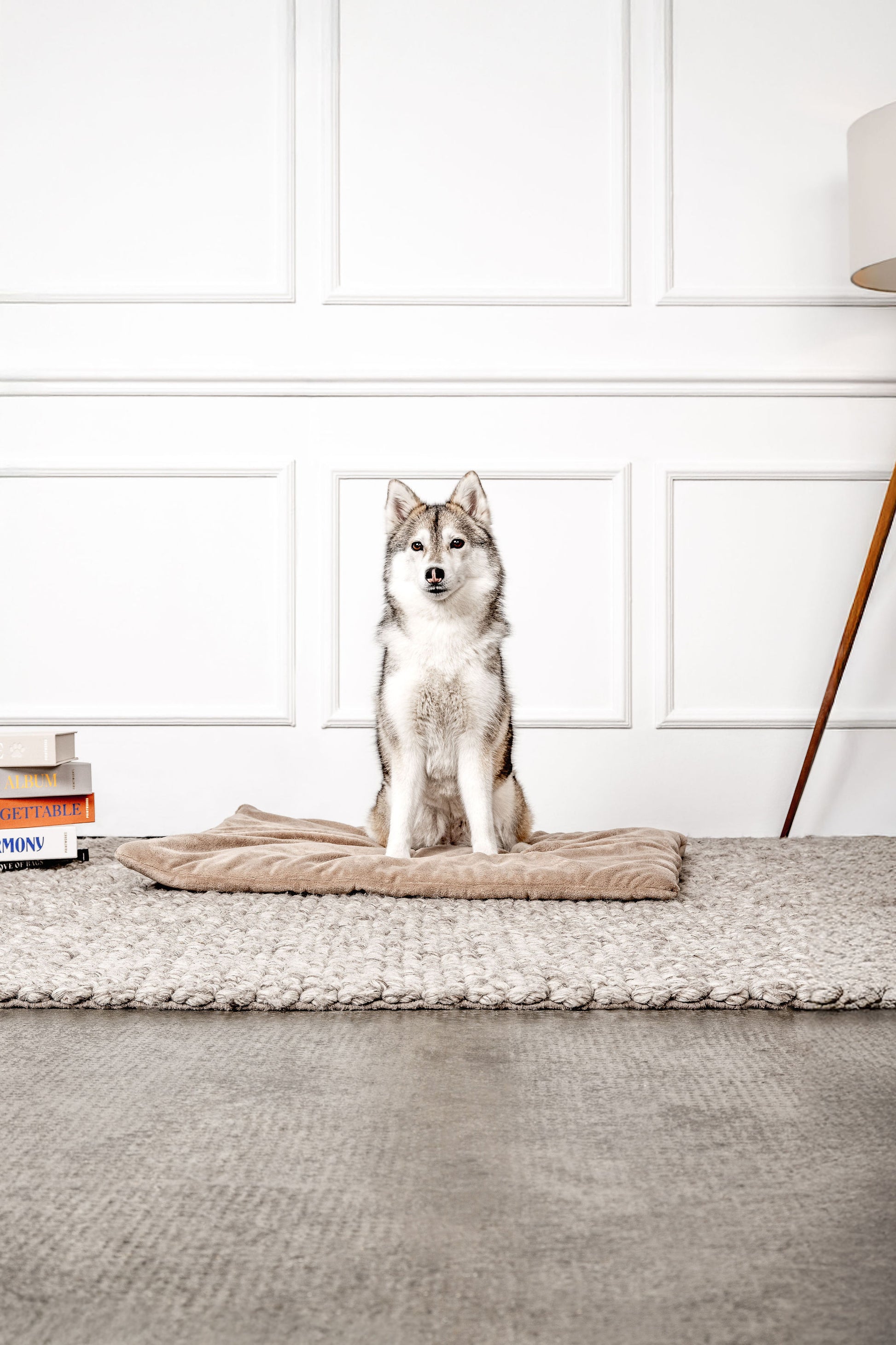 Hundedecke Emma Beige Mein Shop