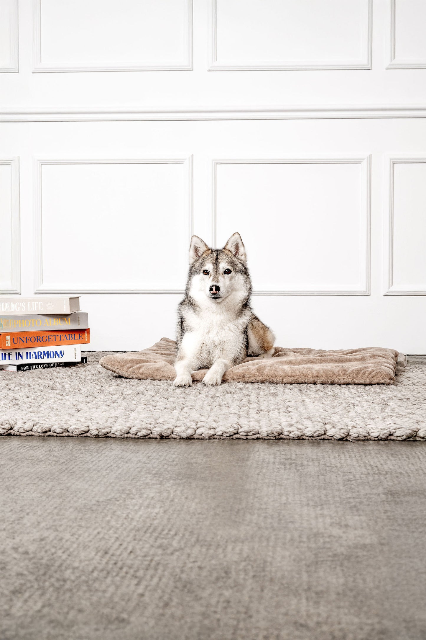 Hundedecke Emma Beige Mein Shop