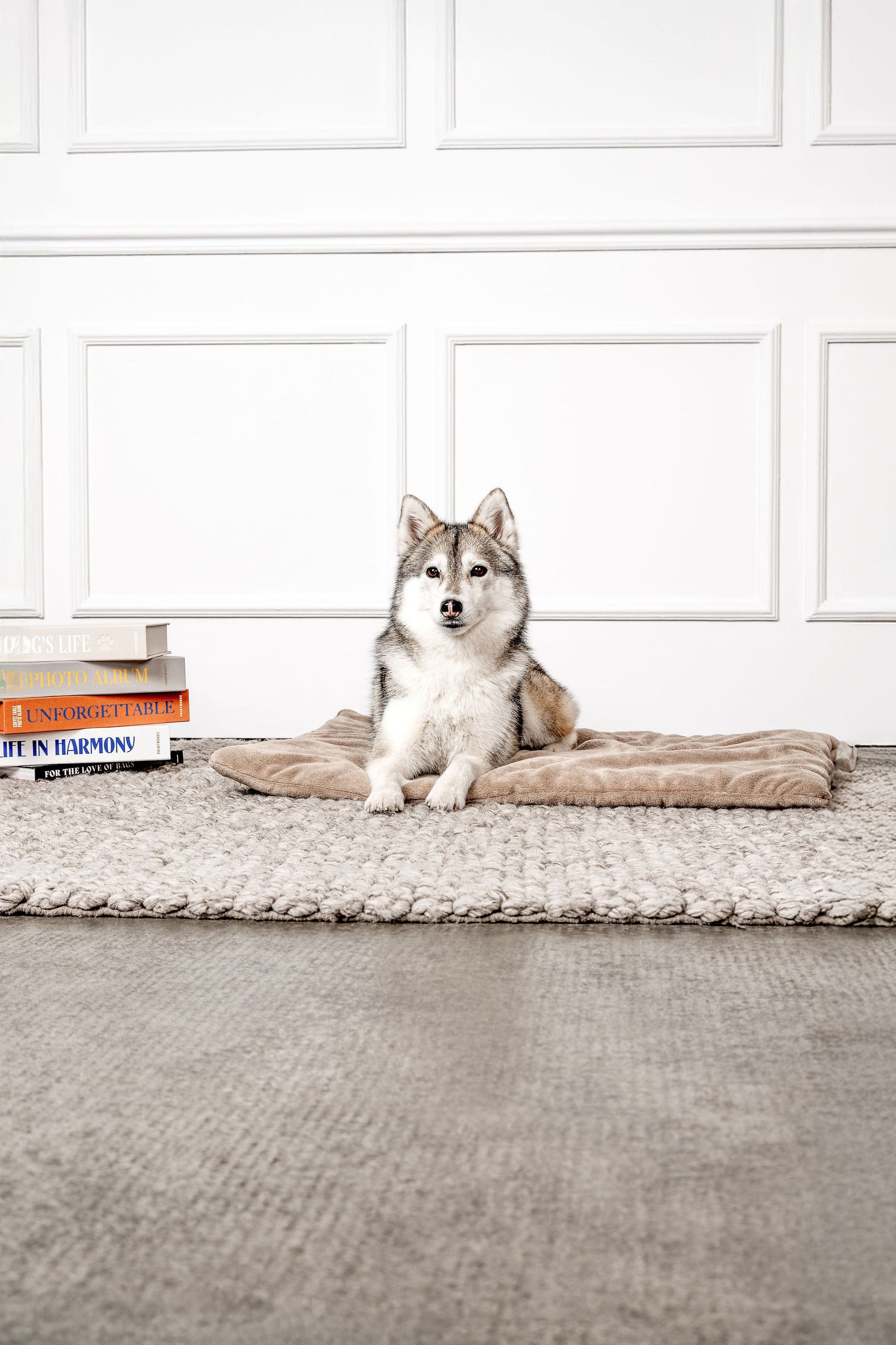 Hundedecke Emma Beige Mein Shop