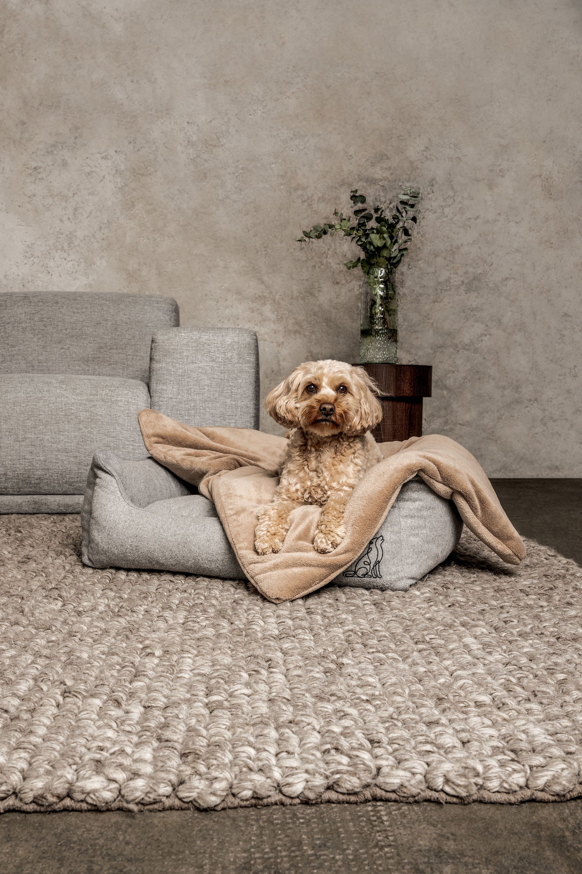 Hundedecke Emma Beige Mein Shop