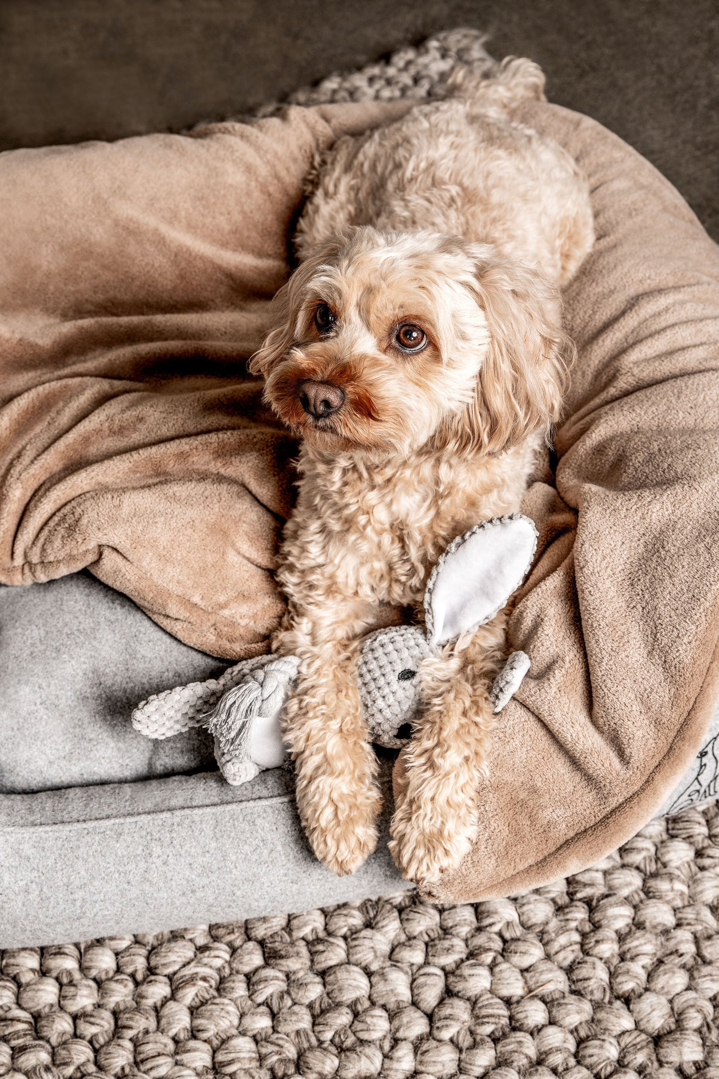 Hundedecke Emma Beige Mein Shop