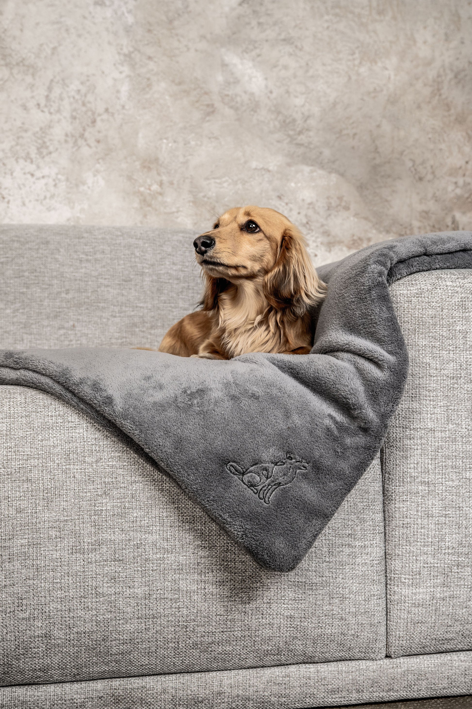 Hundedecke Emma Dunkelgrau Mein Shop
