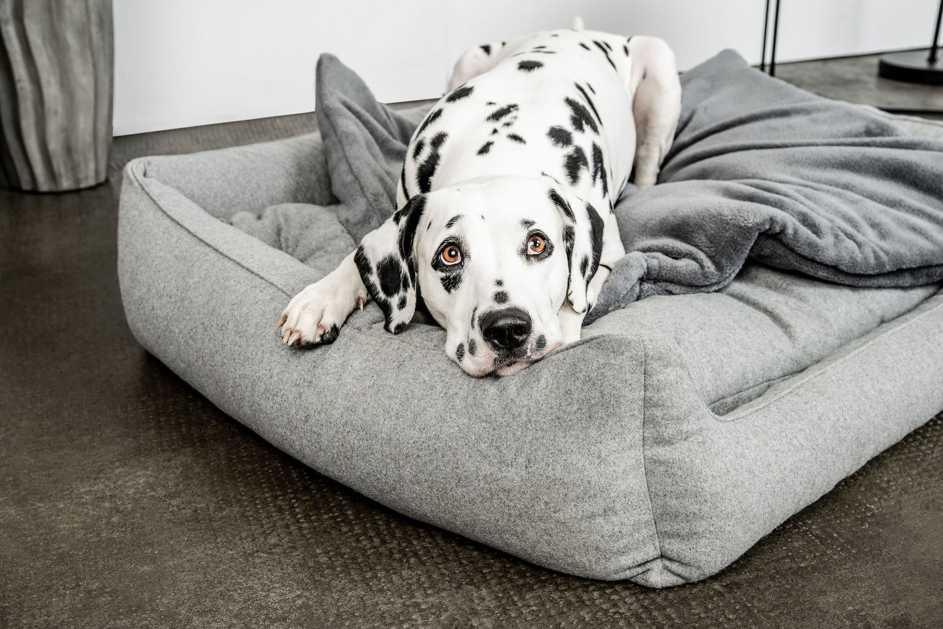 Hundedecke Emma Dunkelgrau Mein Shop