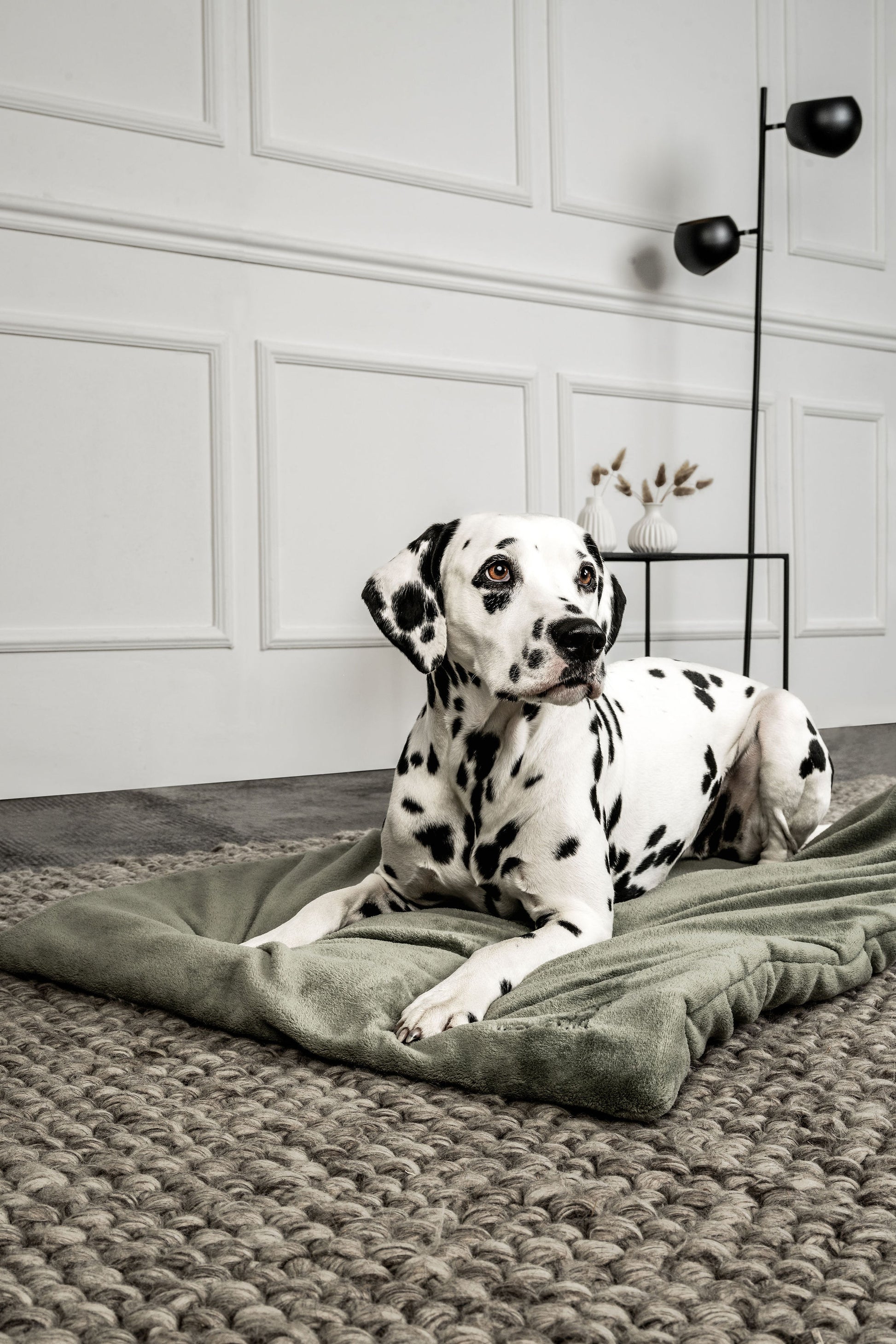 Hundedecke Emma Moosgrün Mein Shop