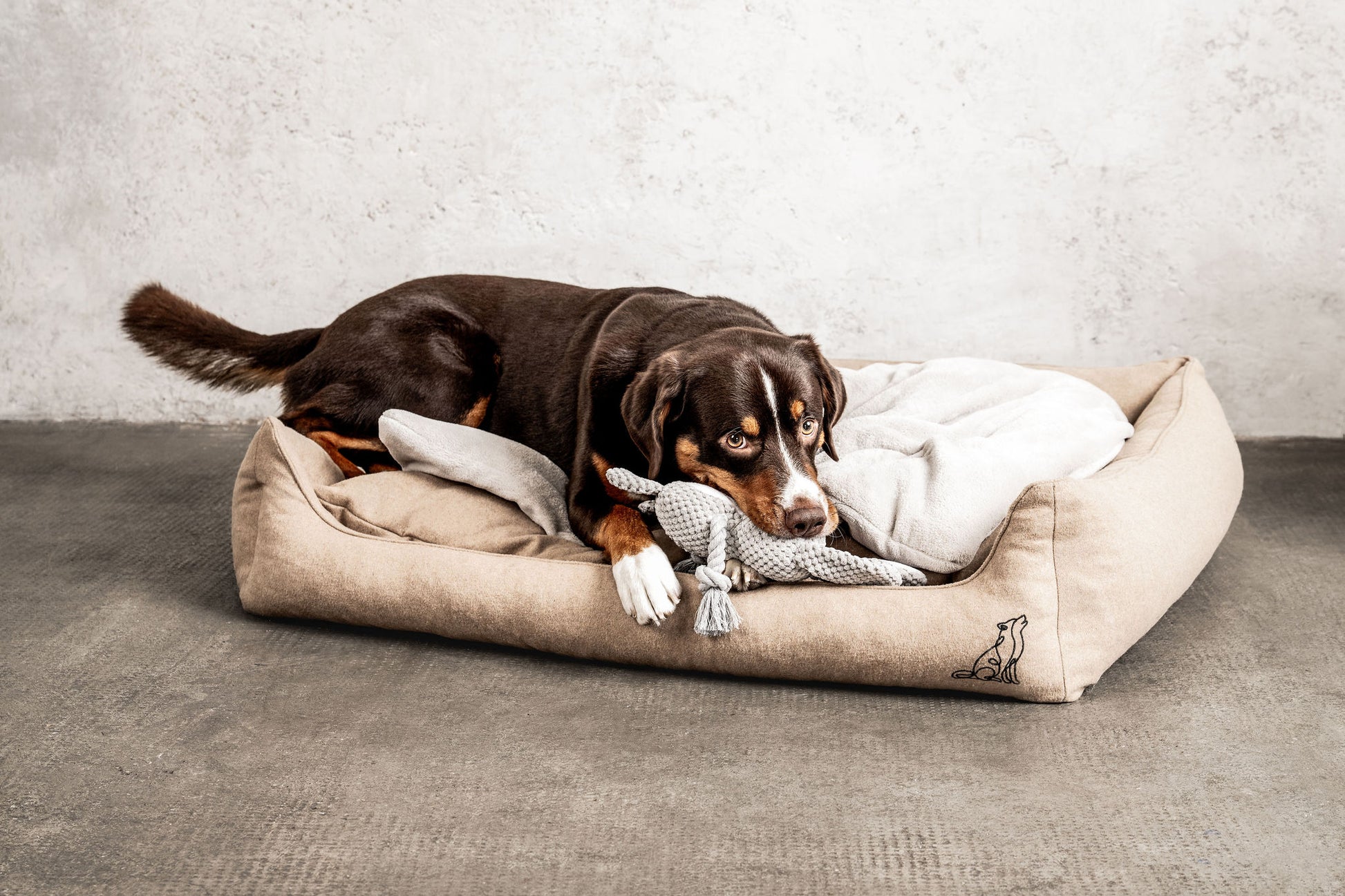 Hundedecke Emma Natur Mein Shop