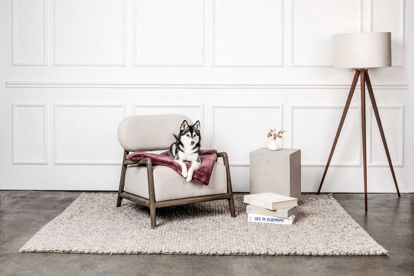 Hundedecke Emma Weinrot Mein Shop