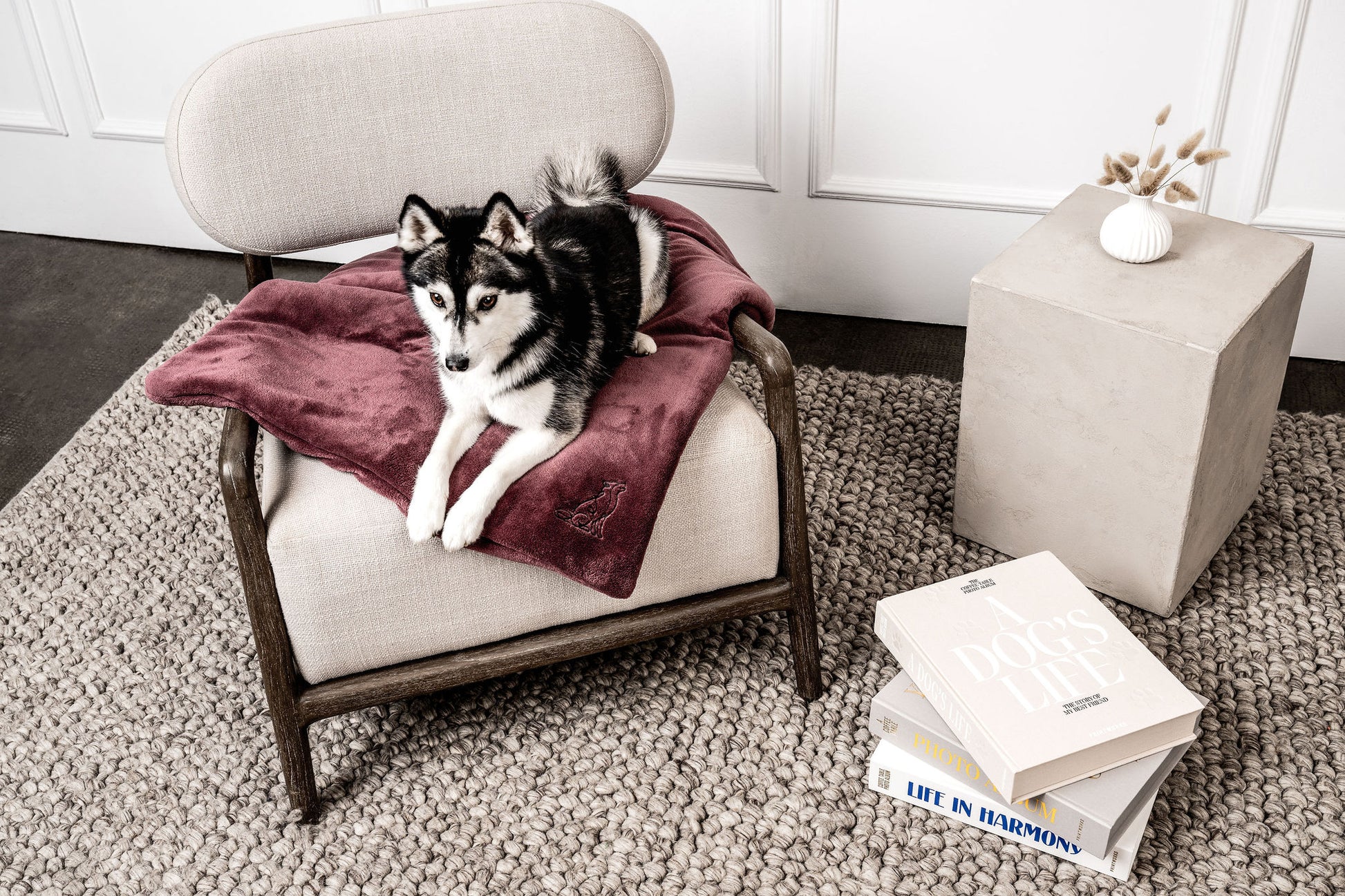 Hundedecke Emma Weinrot Mein Shop