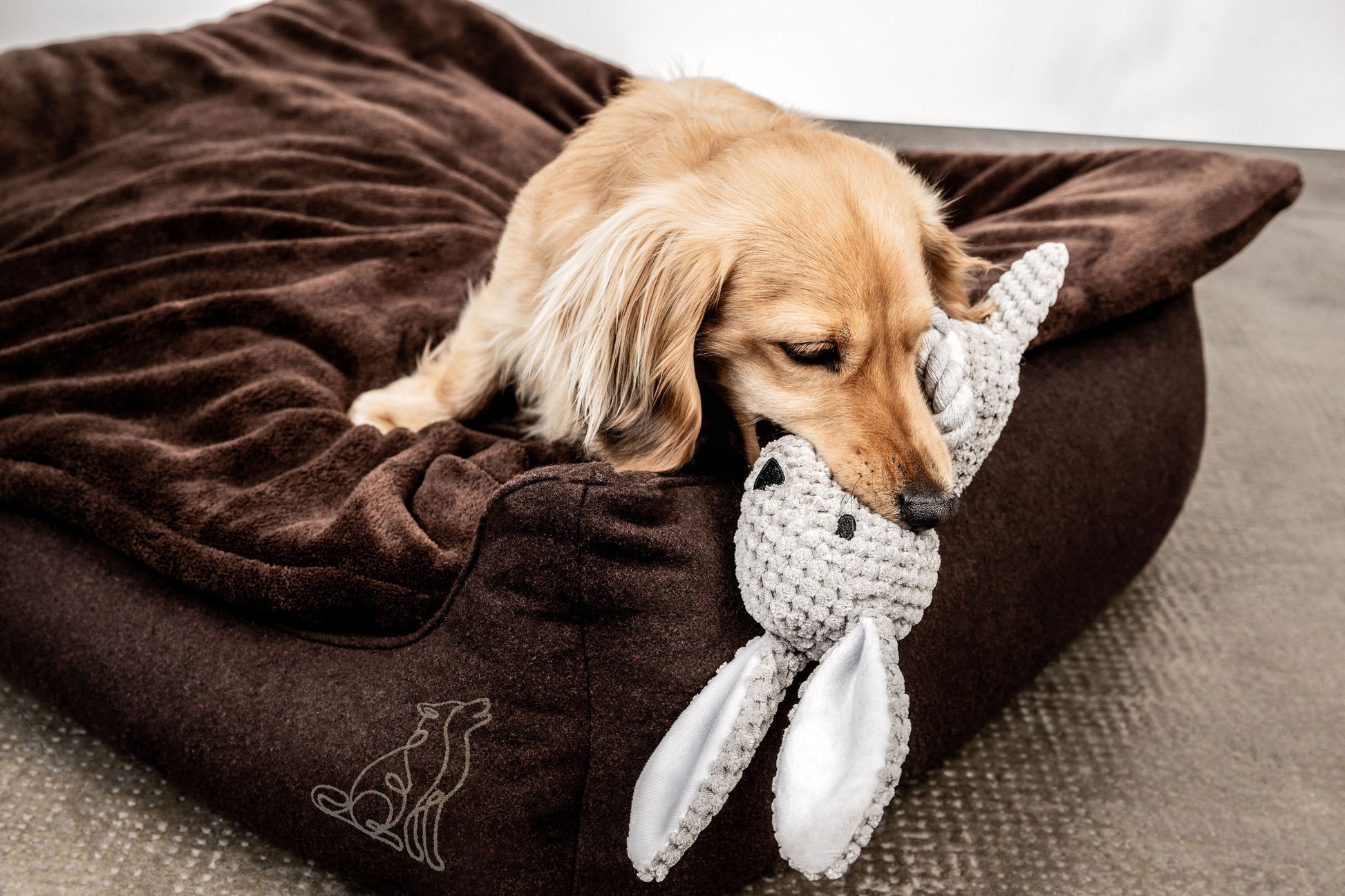 Hundespielzeug Hase Theo Mein Shop