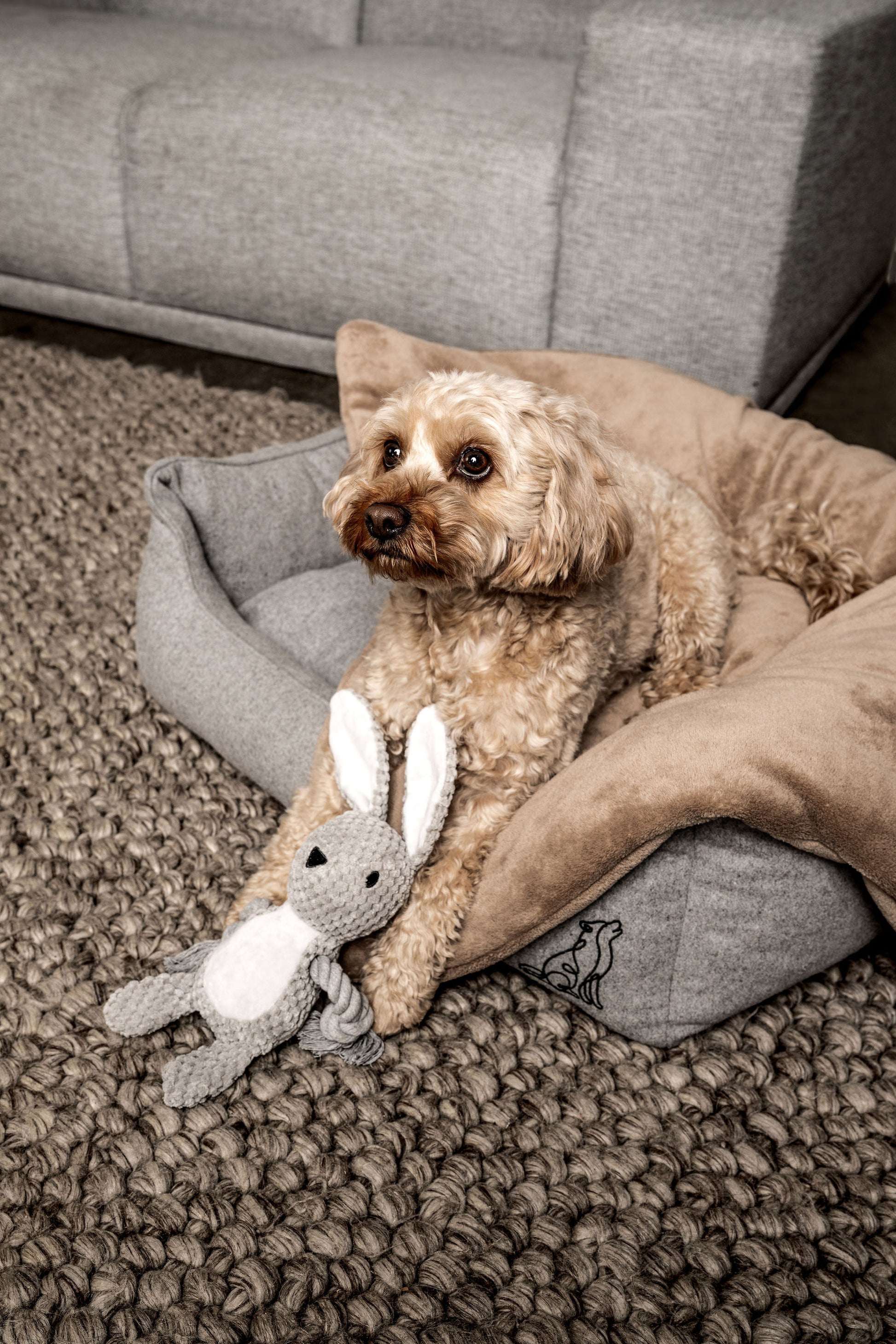 Hundespielzeug Hase Theo Mein Shop