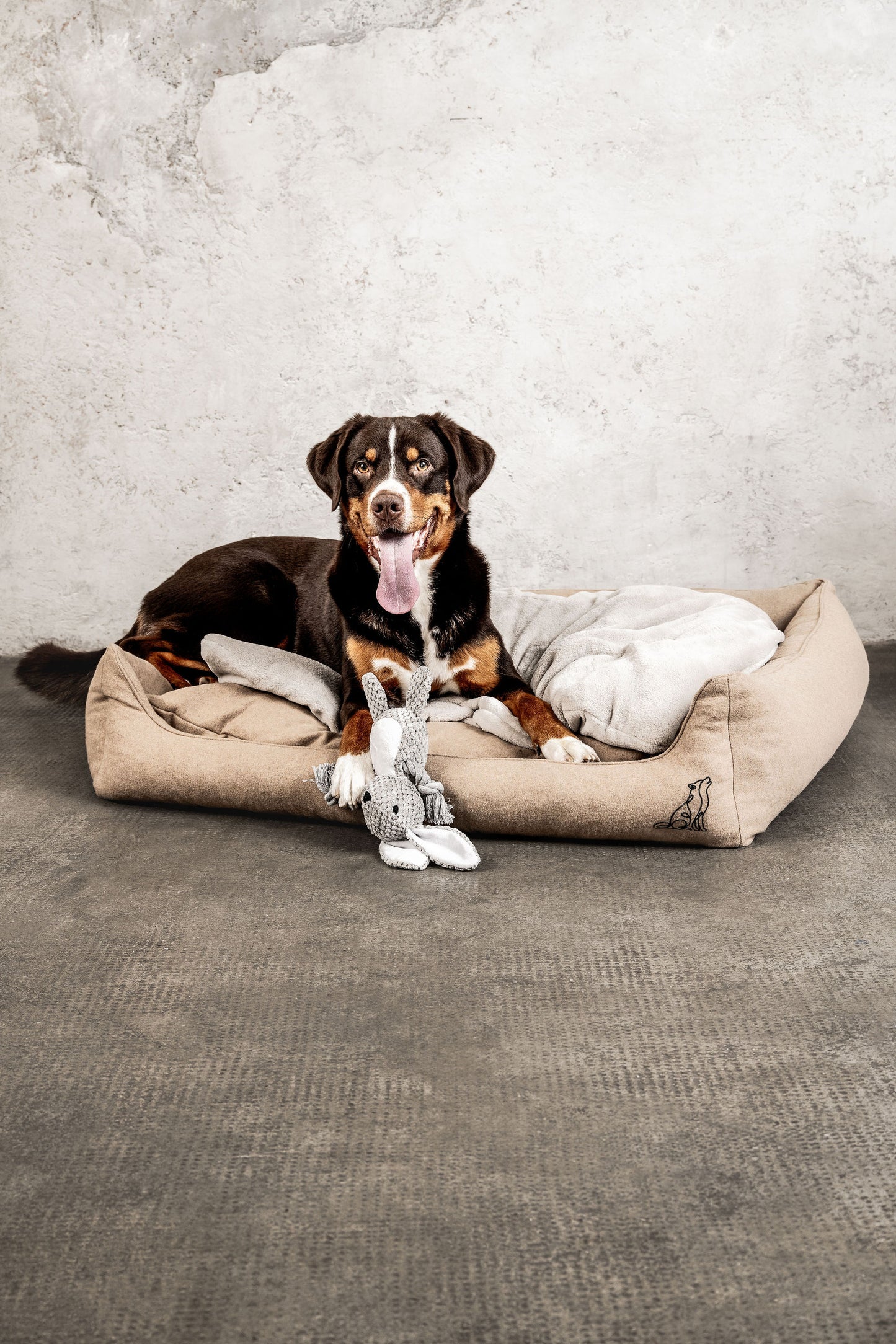 Hundespielzeug Hase Theo Mein Shop