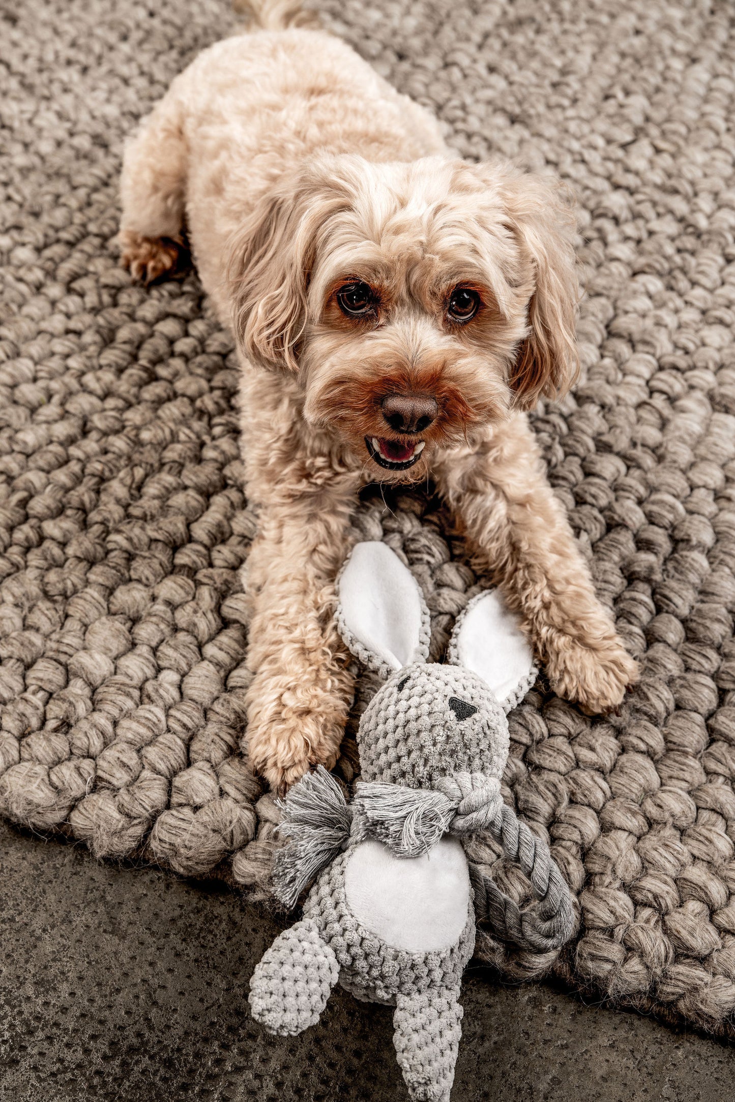 Hundespielzeug Hase Theo Mein Shop