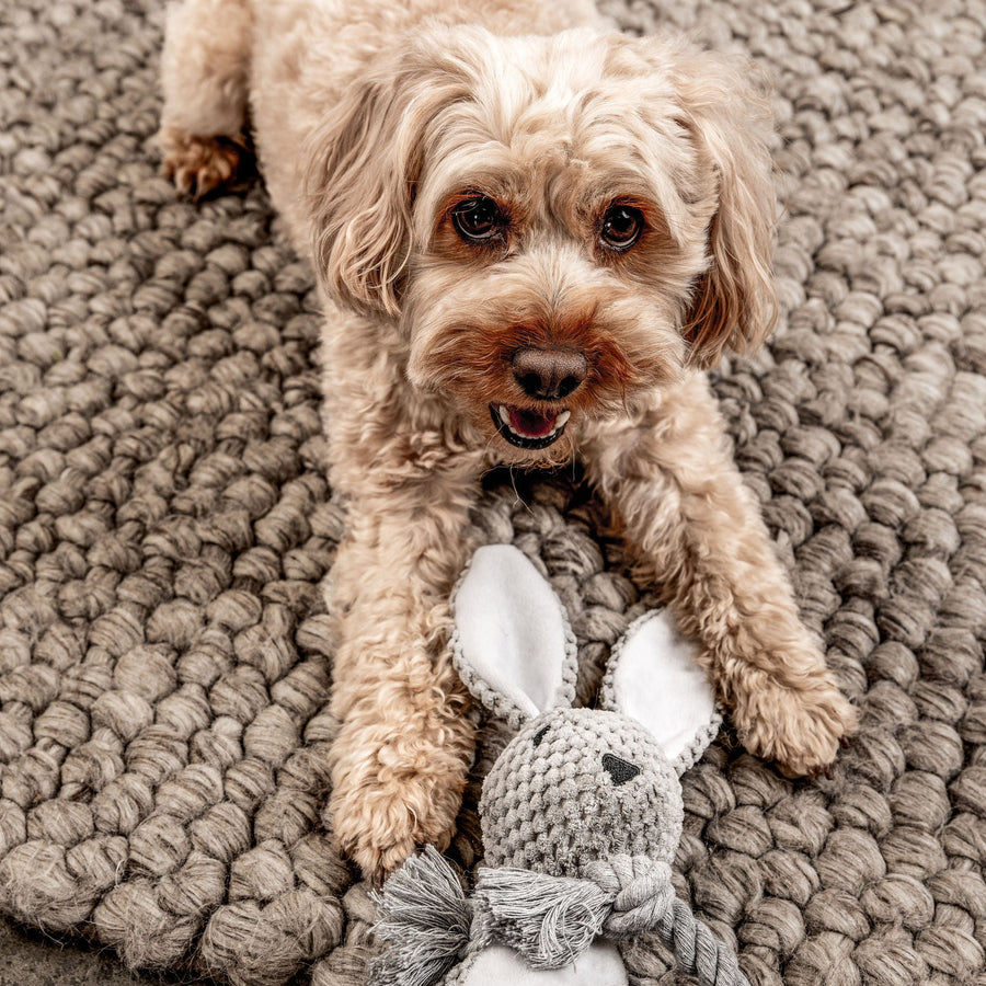 Hundespielzeug Hase Theo Mein Shop