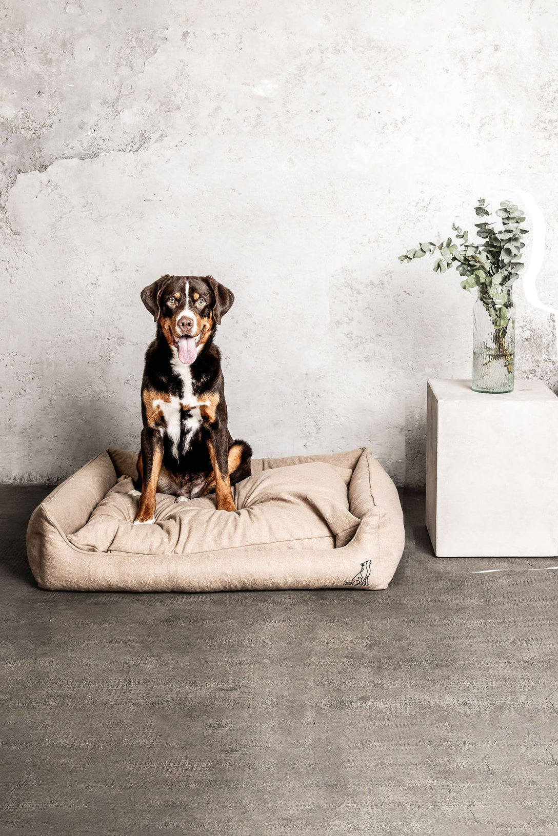 Hundebett Belle Beige Mein Shop