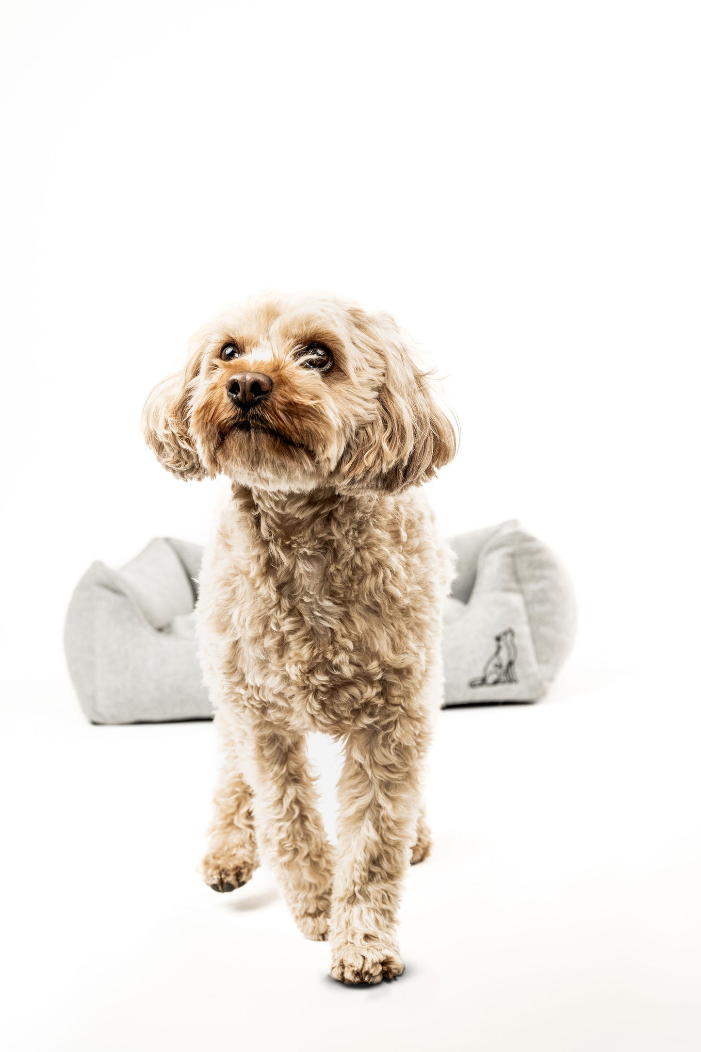 Hundebett Belle Hellgrau Mein Shop