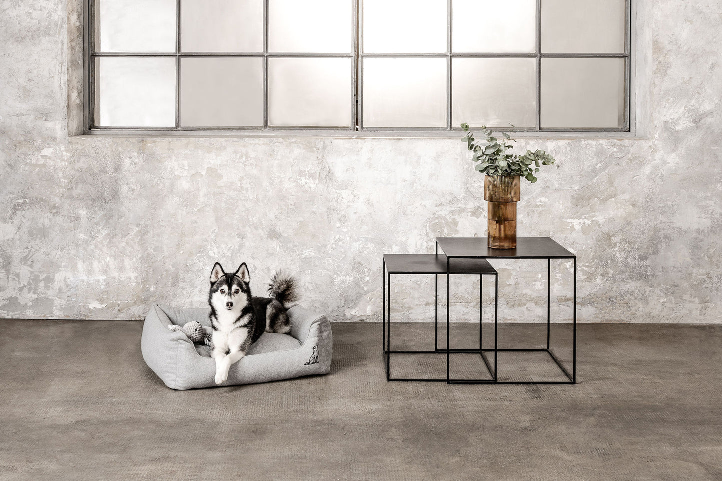 Hundebett Belle Hellgrau Mein Shop