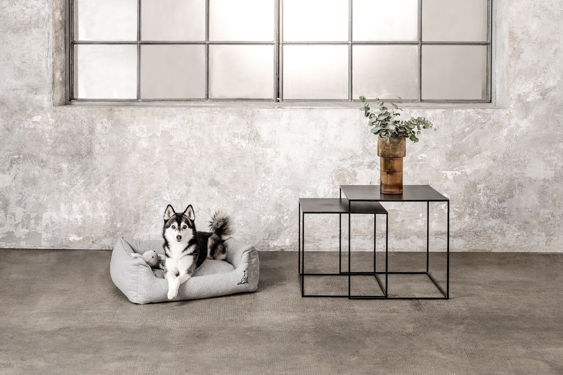 Hundebett Belle Hellgrau Mein Shop