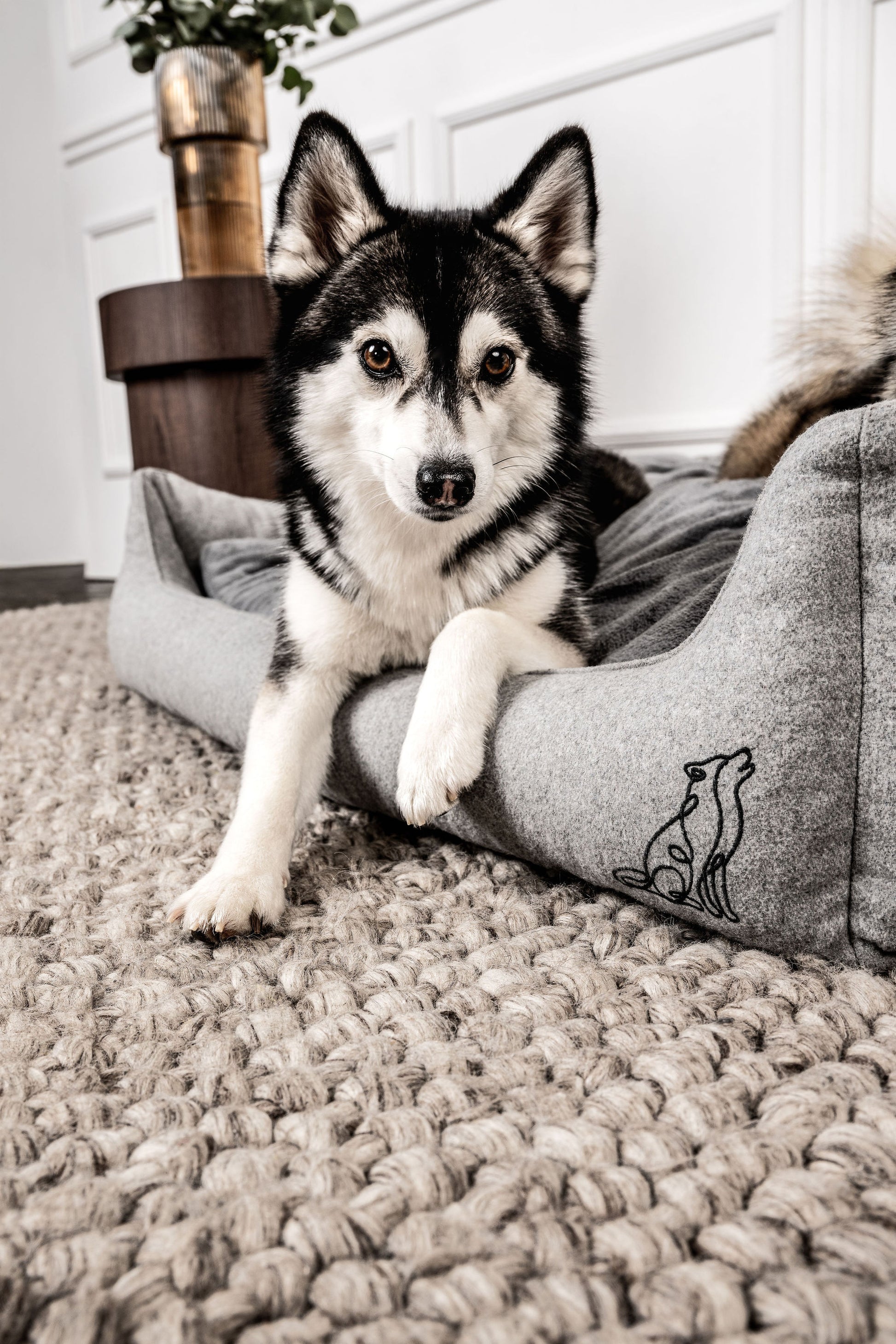 Hundebett Belle Hellgrau Mein Shop