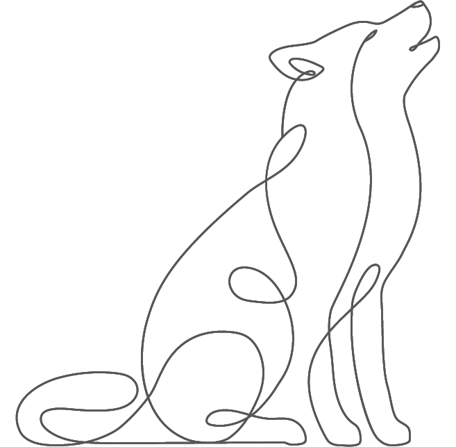 MOUNTAINDOG-Gutschein Mountaindog