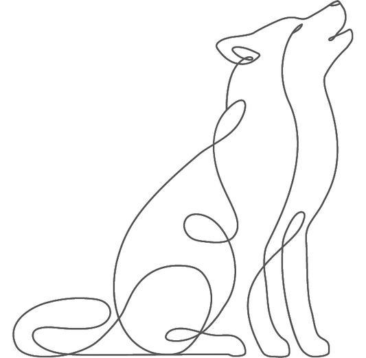 MOUNTAINDOG-Gutschein Mountaindog