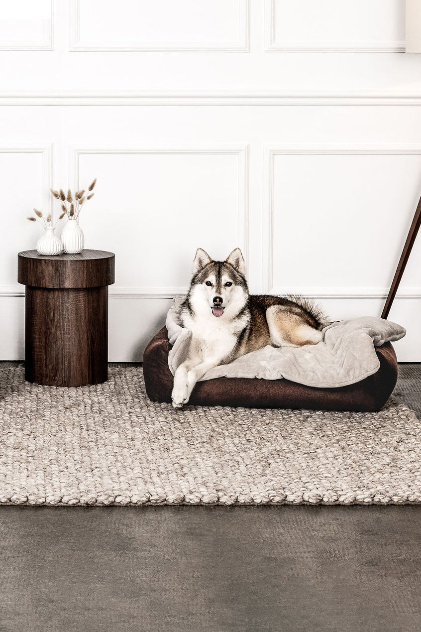 Dream-Duo Cappuccino (dunkelbraun / natur) Mountaindog