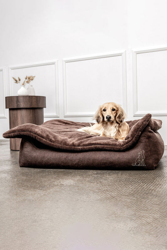 Dream-Duo Harmony (dunkelbraun/ dunkelbraun) Mountaindog