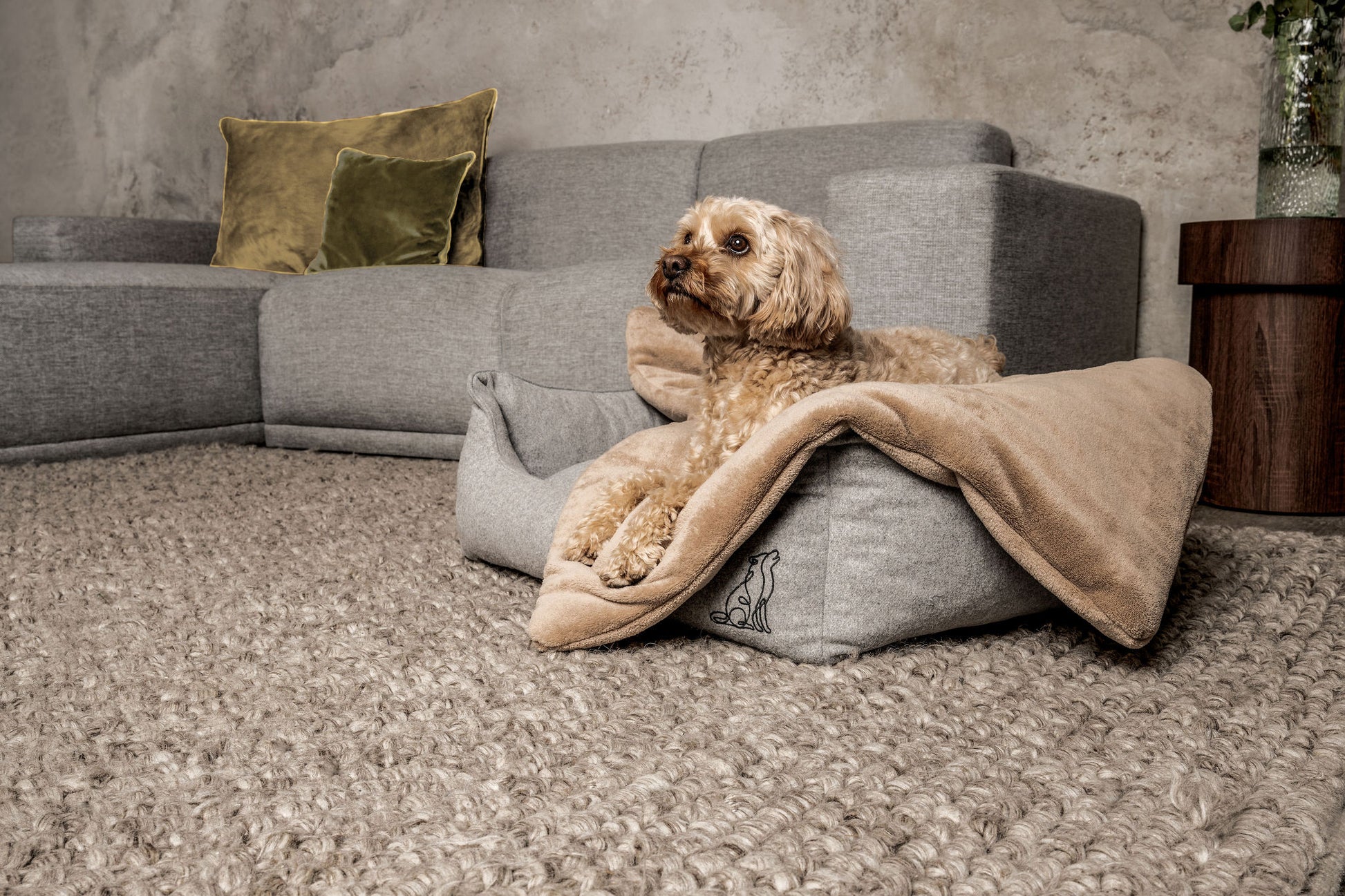 Dream-Duo Sandalwood (hellgrau / beige) Mountaindog