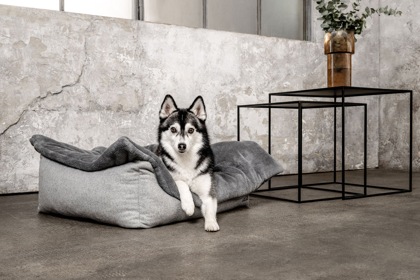 Dream-Duo Silvershade (hellgrau / dunkelgrau) Mountaindog