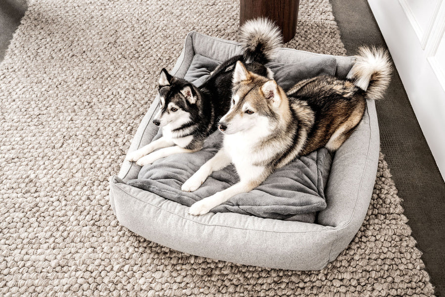 Dream-Duo Silvershade (hellgrau / dunkelgrau) Mountaindog