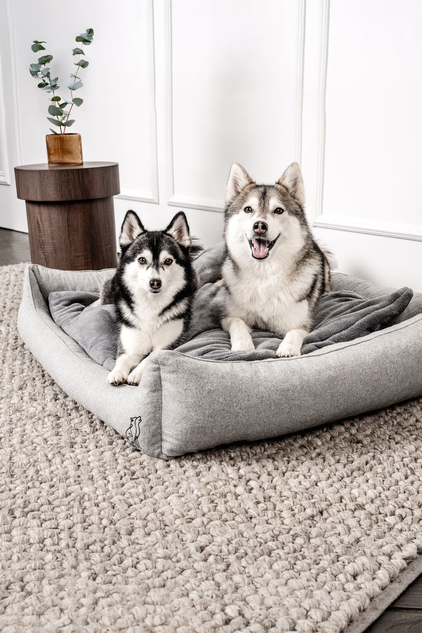 Dream-Duo Silvershade (hellgrau / dunkelgrau) Mountaindog