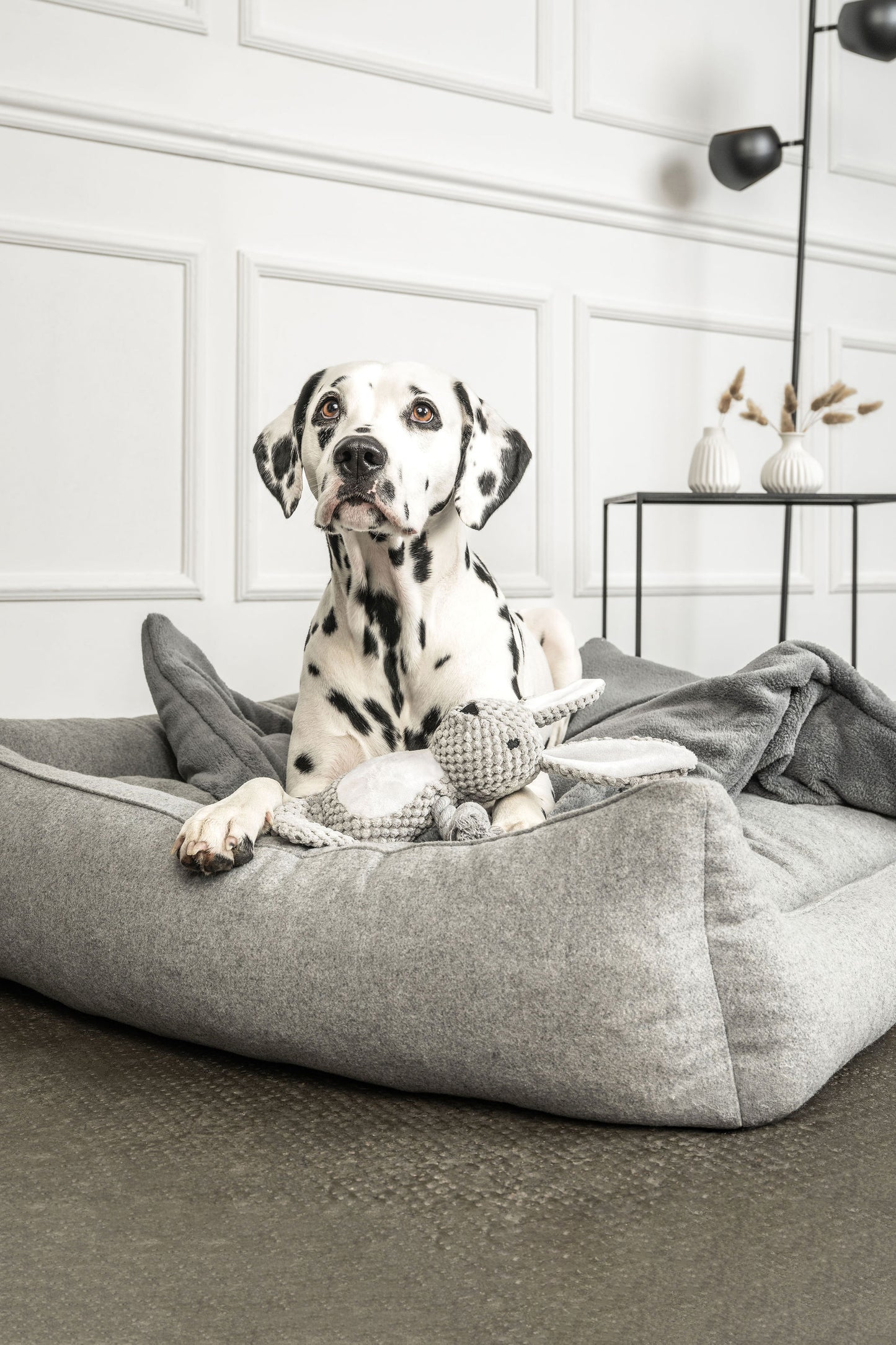 Dream-Duo Silvershade (hellgrau / dunkelgrau) Mountaindog