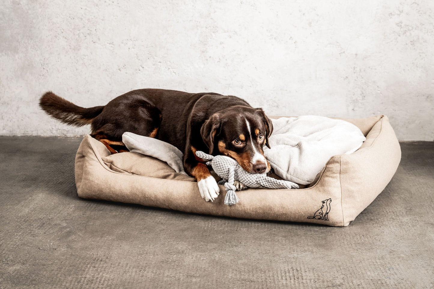 Dream-Duo Mix&Match Mountaindog