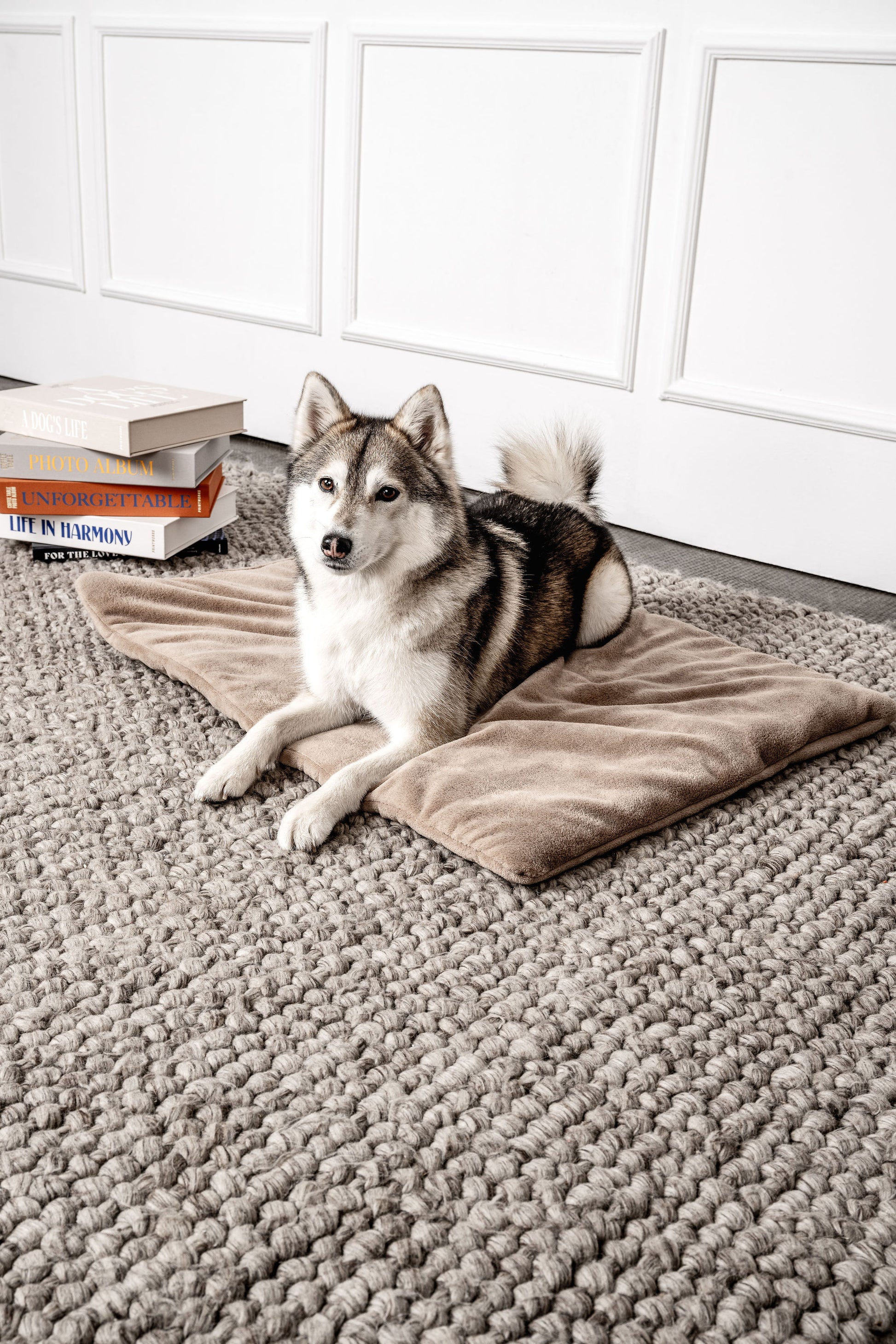 Hundedecke Emma Beige Mein Shop