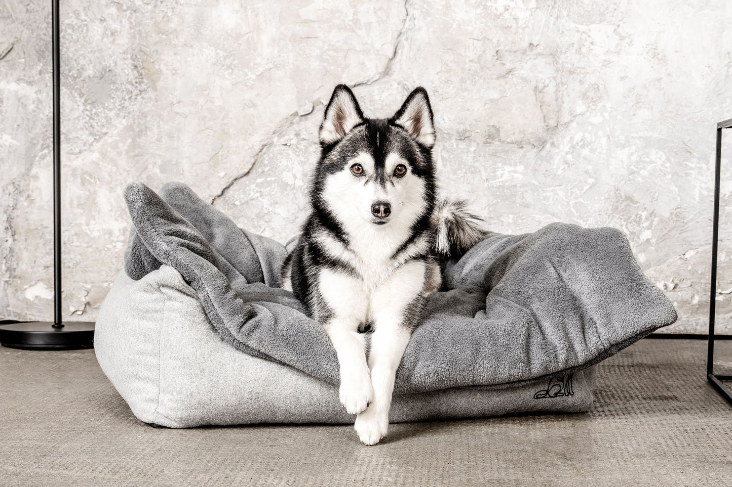 Hundedecke Emma Dunkelgrau Mein Shop