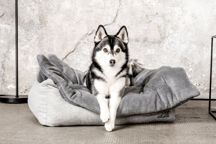 Hundedecke Emma Dunkelgrau Mein Shop