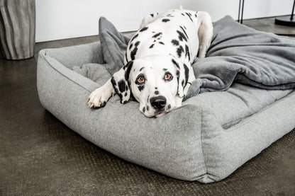 Hundedecke Emma Dunkelgrau Mein Shop