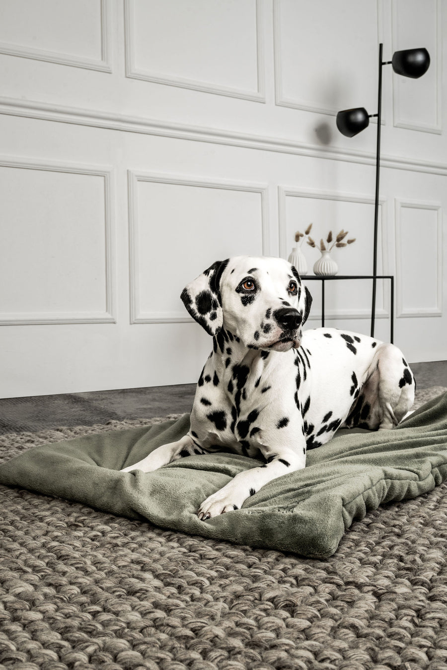 Hundedecke Emma Moosgrün Mein Shop