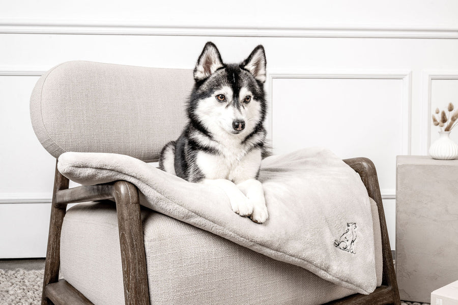 Hundedecke Emma Natur Mein Shop