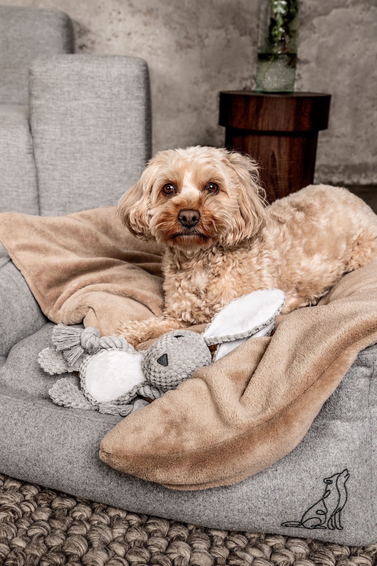 Hundebett Belle im Wohnraum