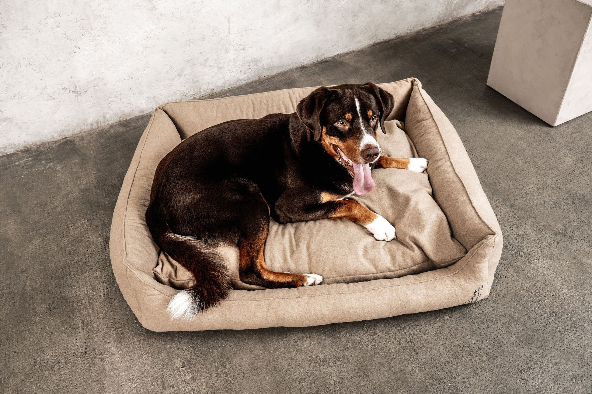 Hundebett Belle Beige Mein Shop