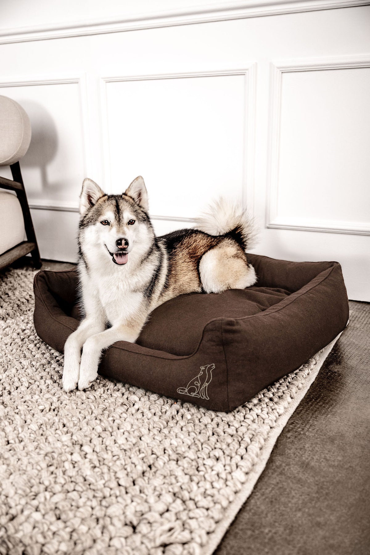 Belle dog bed in a living room