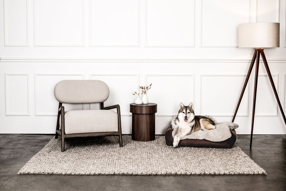 Hundebett Belle im Wohnraum