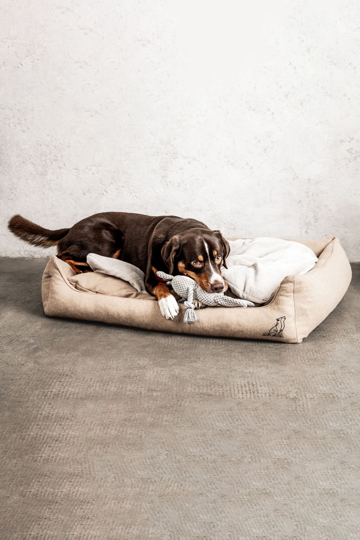 Hundebett Belle im Wohnraum