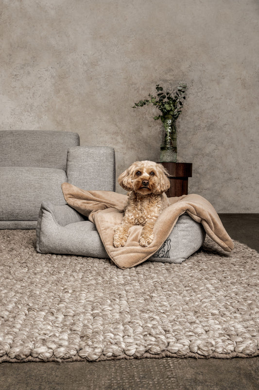 Dream-Duo Mix&Match Mountaindog