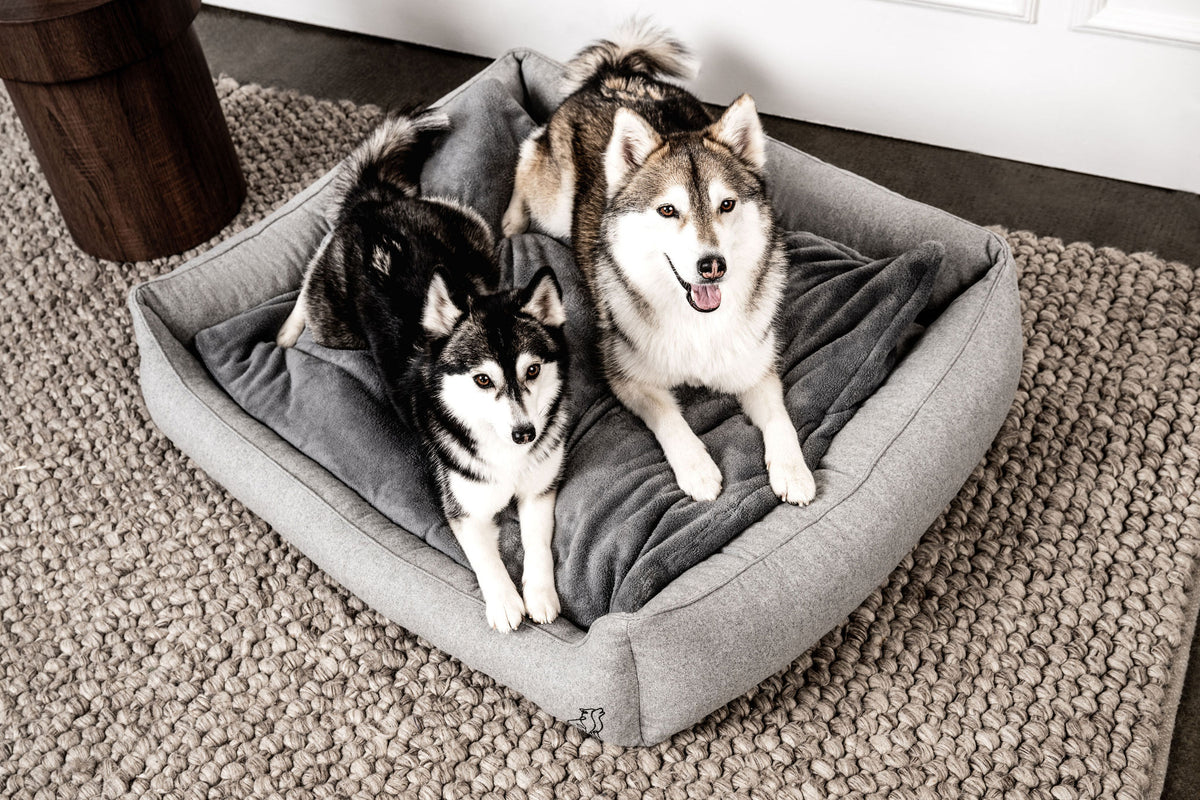 Hundebett Belle im Wohnraum