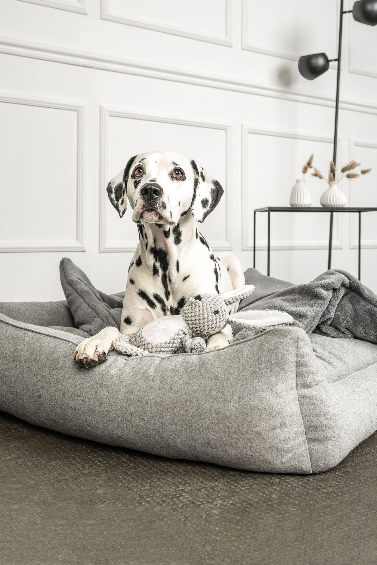 Hundebett Belle im Wohnraum
