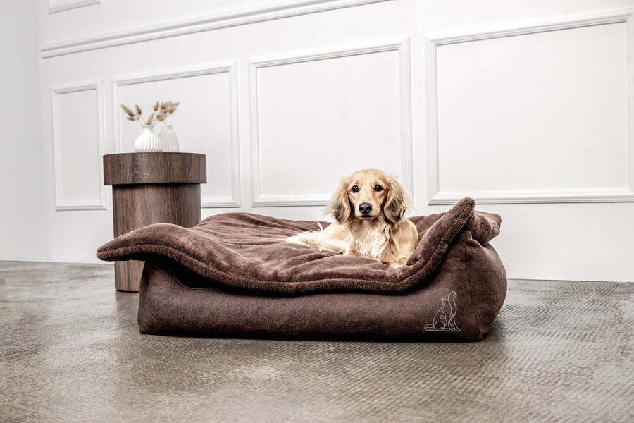 Dream-Duo Mix&Match Mountaindog
