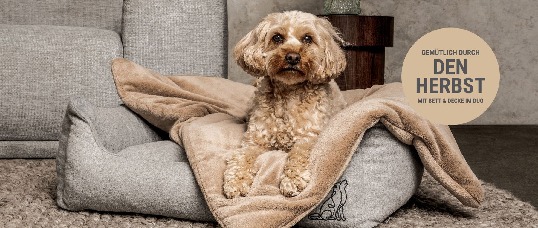 Hund auf dem Hundebett mit Decke - gemütlich durch den Herbst mit Bett und Decke im Duo