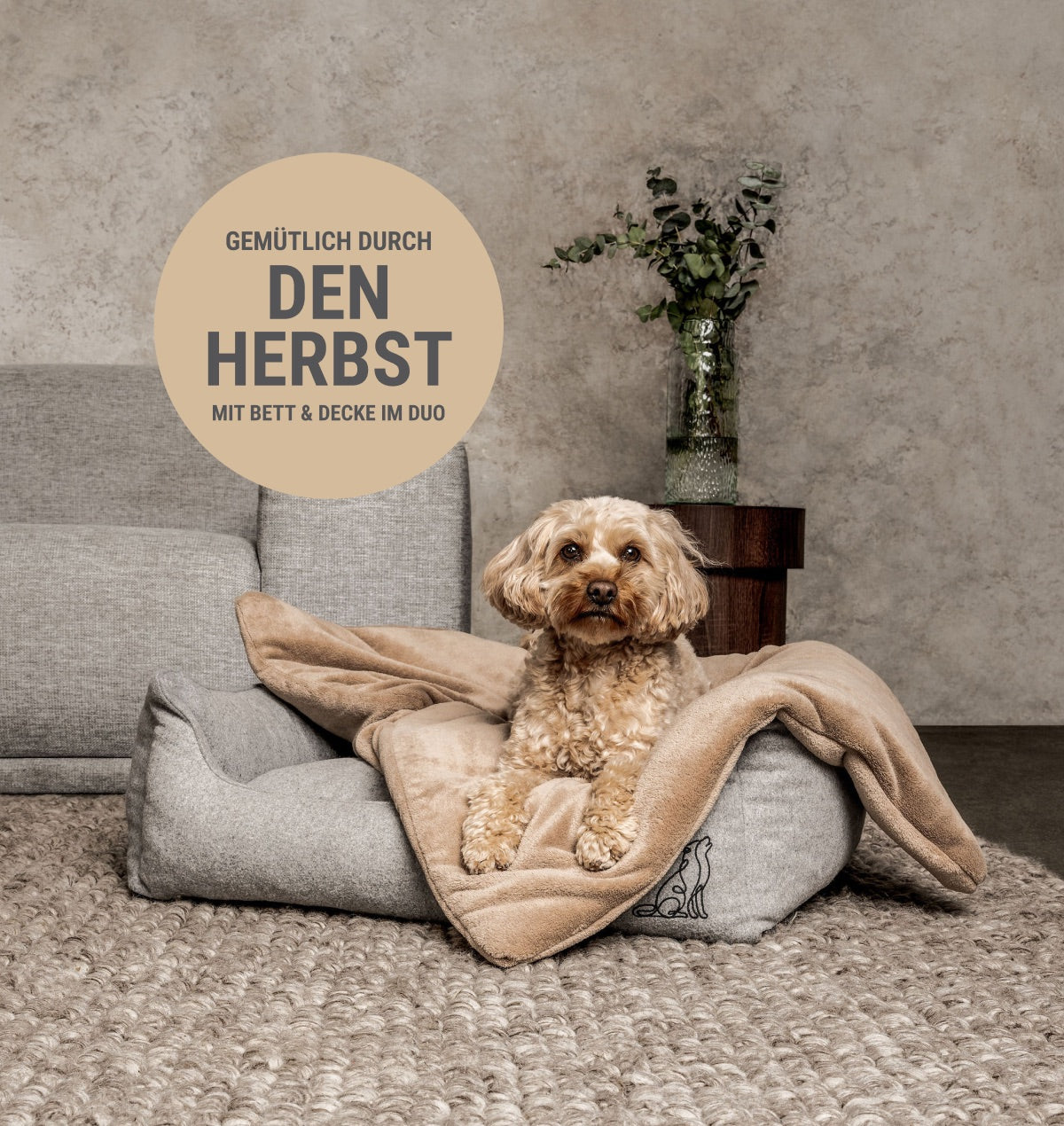 Hund auf dem Hundebett mit Decke - gemütlich durch den Herbst mit Bett und Decke im Duo